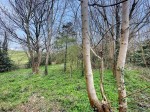 Images for Alexandra Road, Warlingham