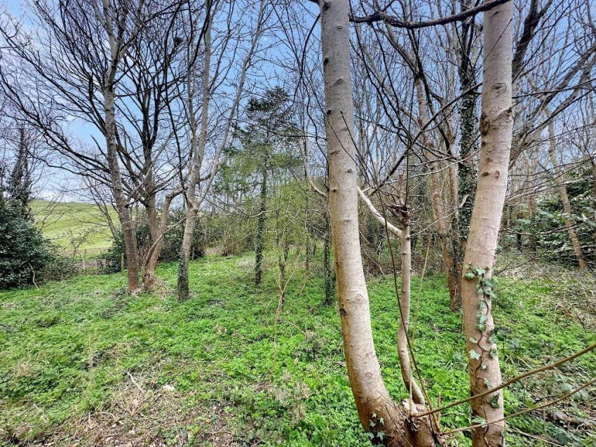 Images for Alexandra Road, Warlingham