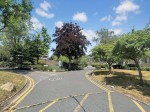 Images for Woodpecker Mount, Selsdon