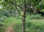 Images for Kingswood Lane, Warlingham