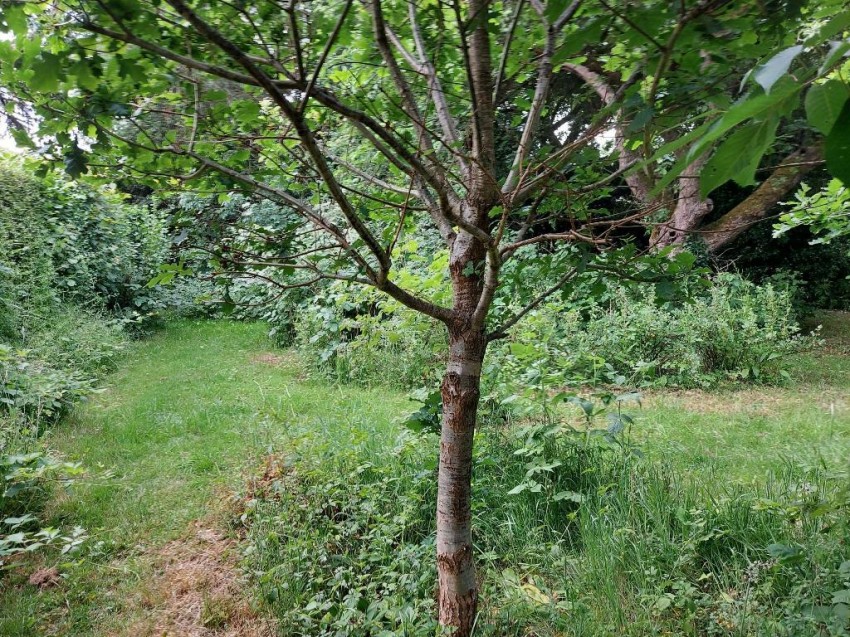 Images for Kingswood Lane, Warlingham